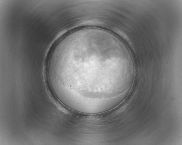 X0000068861029200605192012