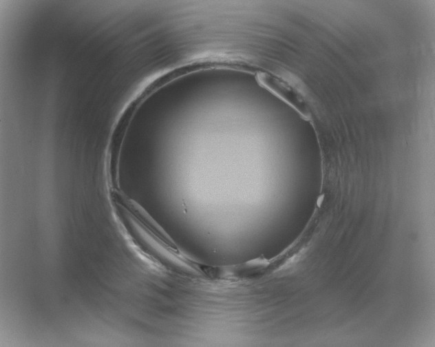 X0000068861030200605192012