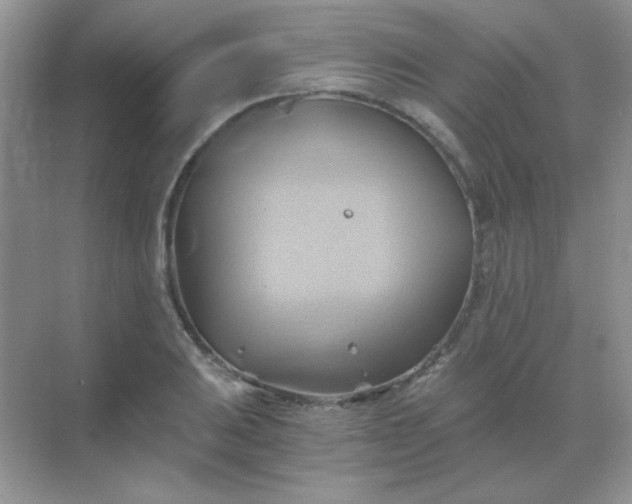 X0000068861031200605192012