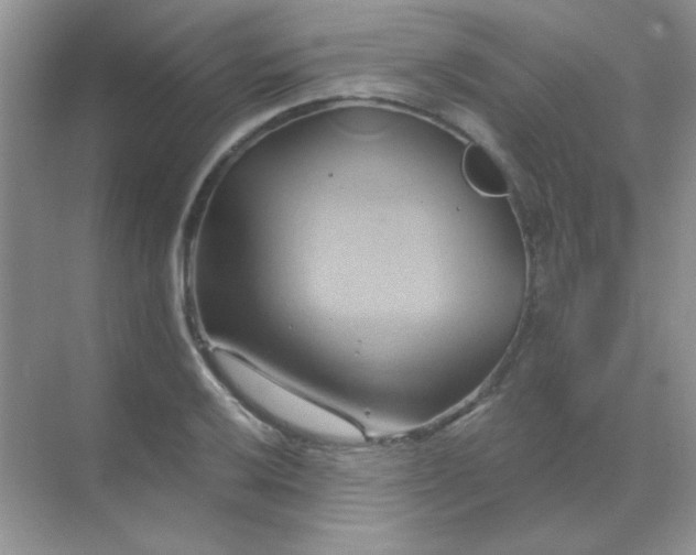 X0000068861032200605192012