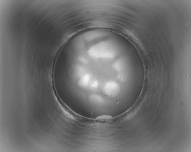 X0000068861033200605192012