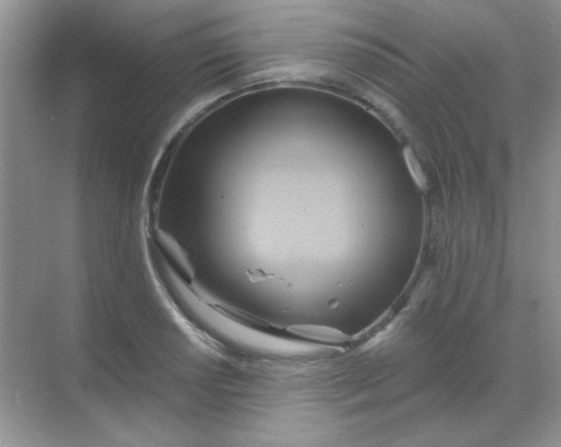 X0000068861034200605192012