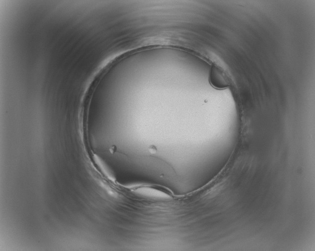 X0000068861035200605192012