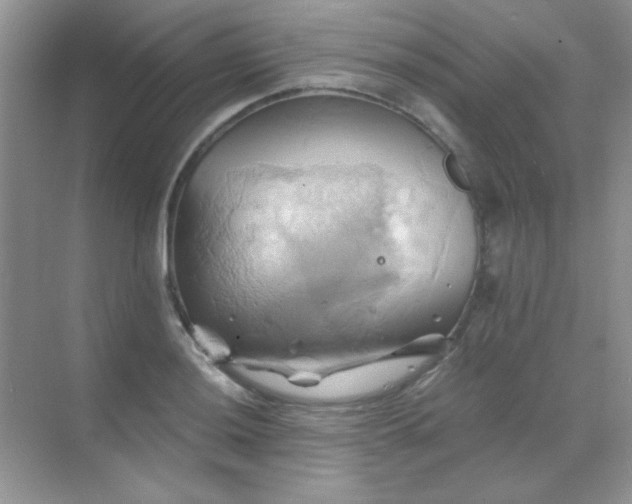 X0000068861036200605192012