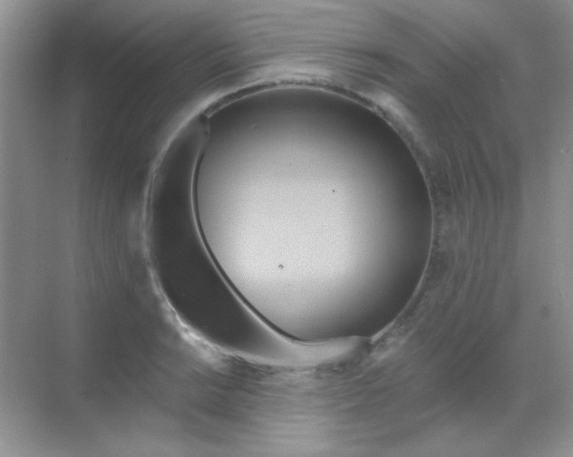 X0000068861038200605192012