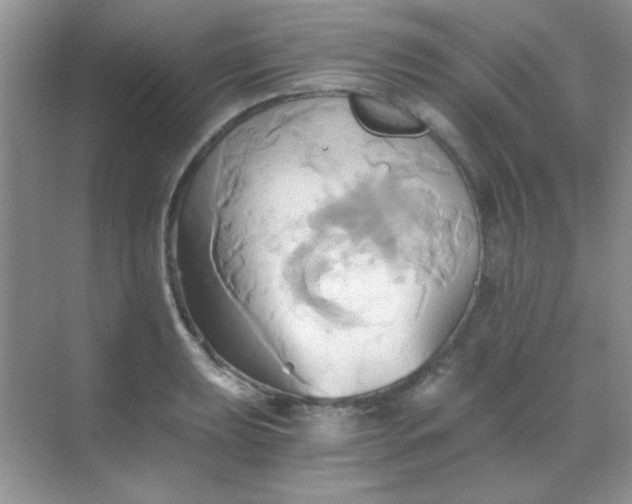 X0000068861039200605192012