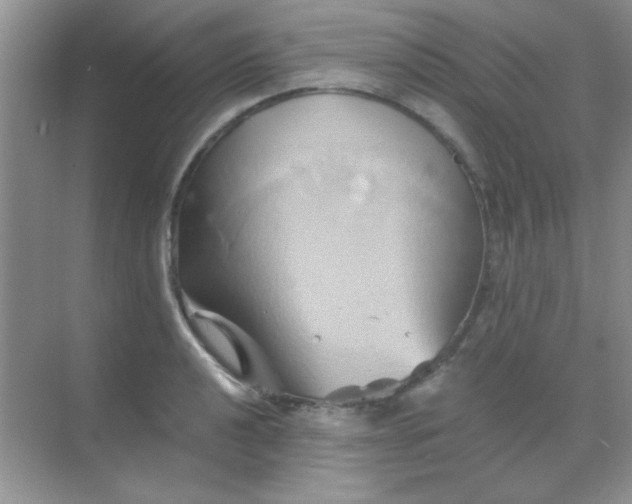 X0000068861040200605192012