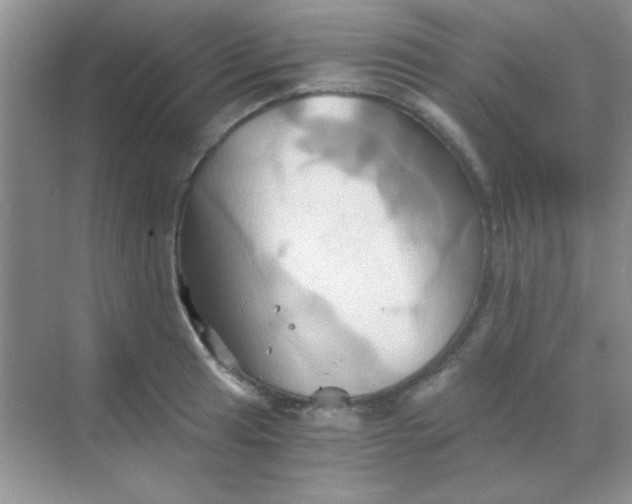 X0000068861041200605192012