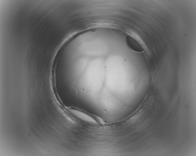 X0000068861043200605192012