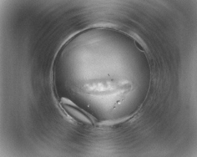 X0000068861044200605192012