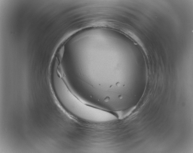 X0000068861045200605192012