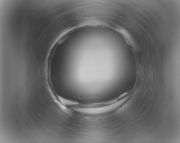 X0000068861046200605192012