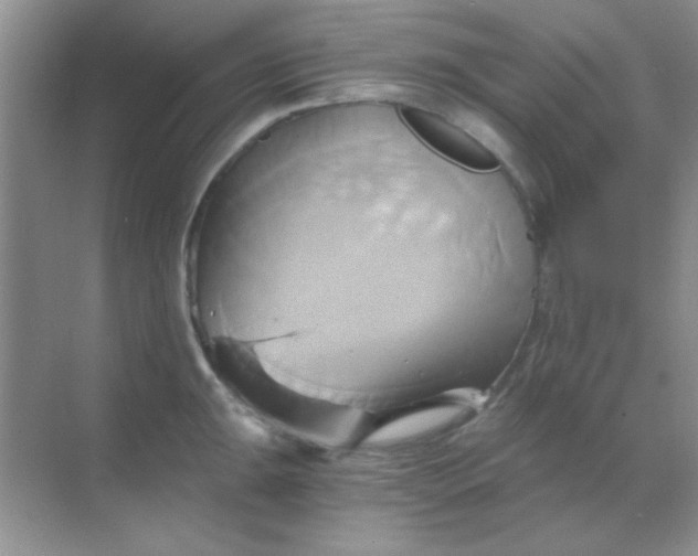 X0000068861047200605192012