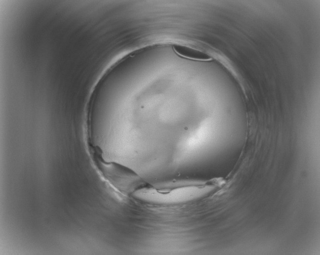 X0000068861048200605192012