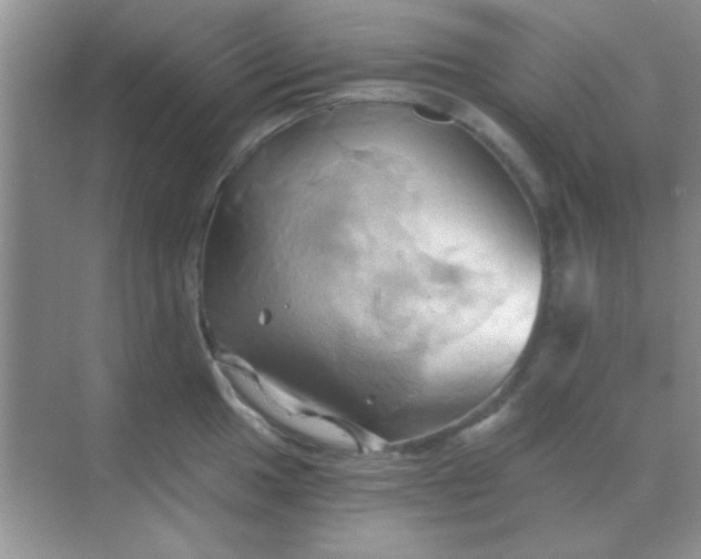 X0000068861049200605192012