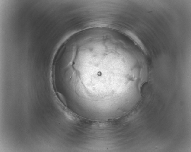 X0000068861051200605192012