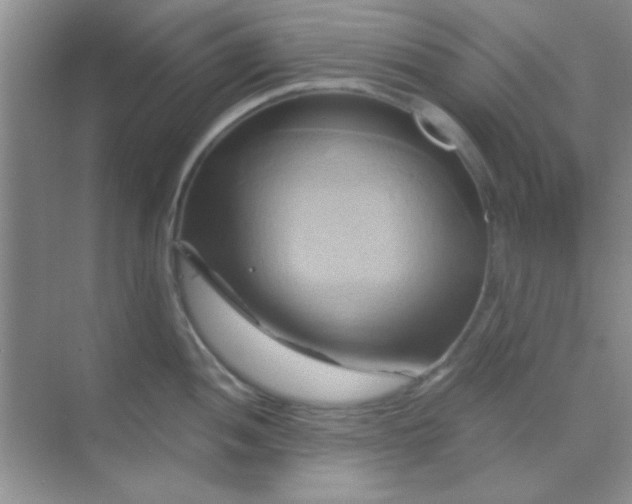 X0000068861052200605192012