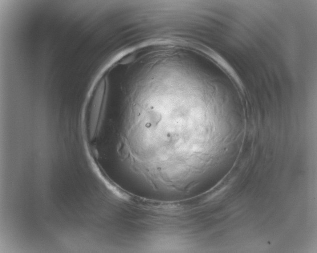 X0000068861053200605192012