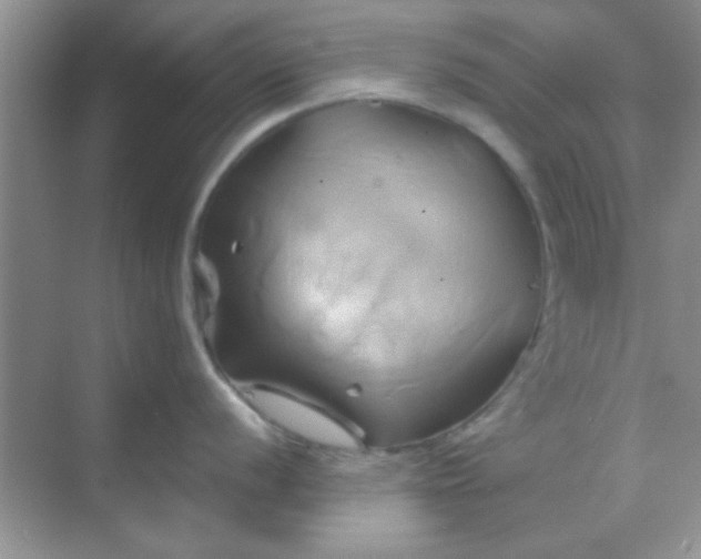 X0000068861056200605192012