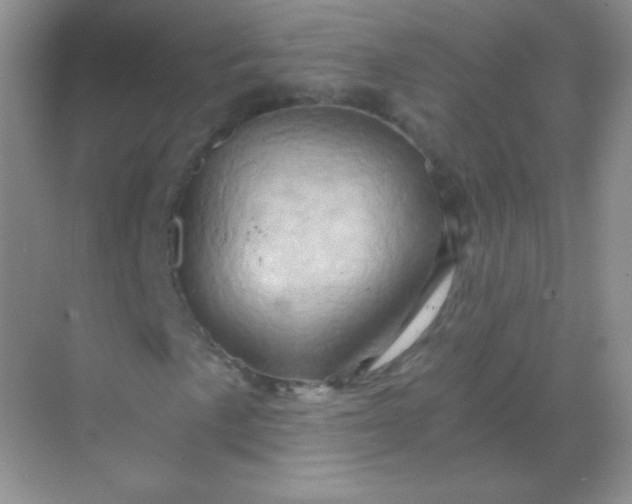 X0000068861057200605192011