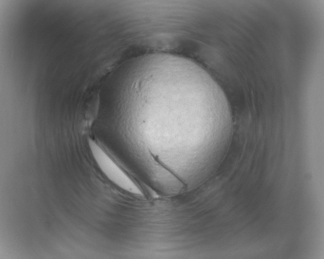 X0000068861058200605192011