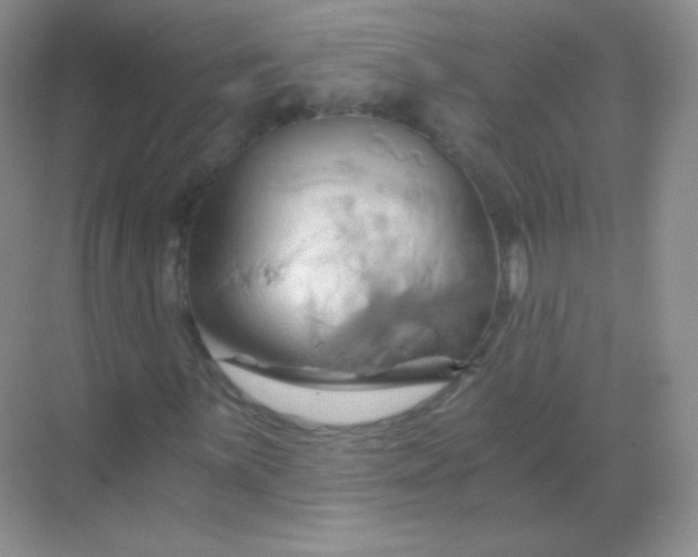 X0000068861059200605192011