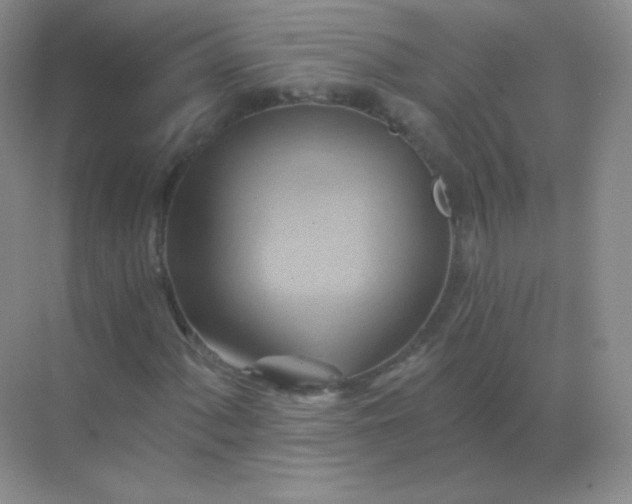 X0000068861060200605192011