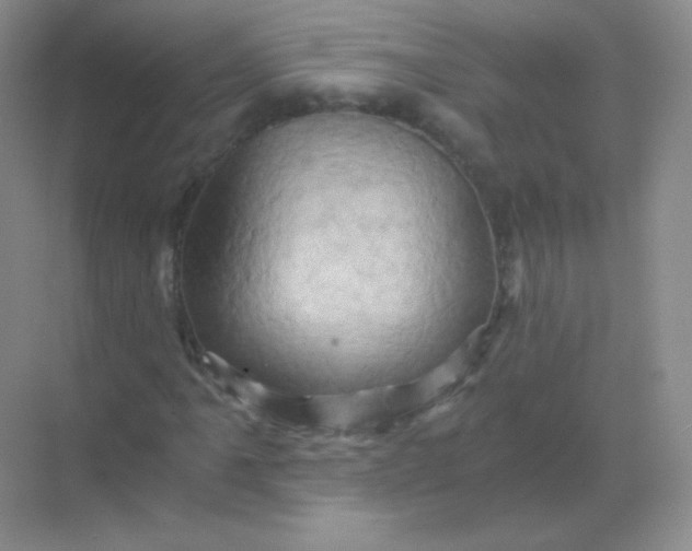 X0000068861061200605192011