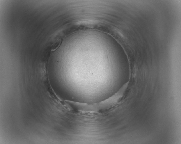 X0000068861062200605192011