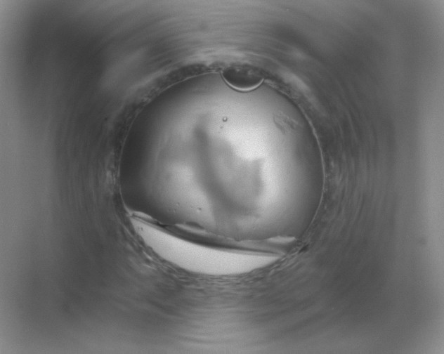 X0000068861063200605192011