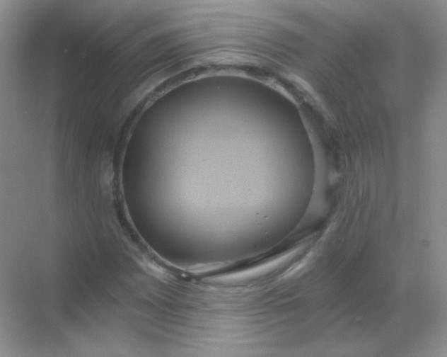 X0000068861065200605192011