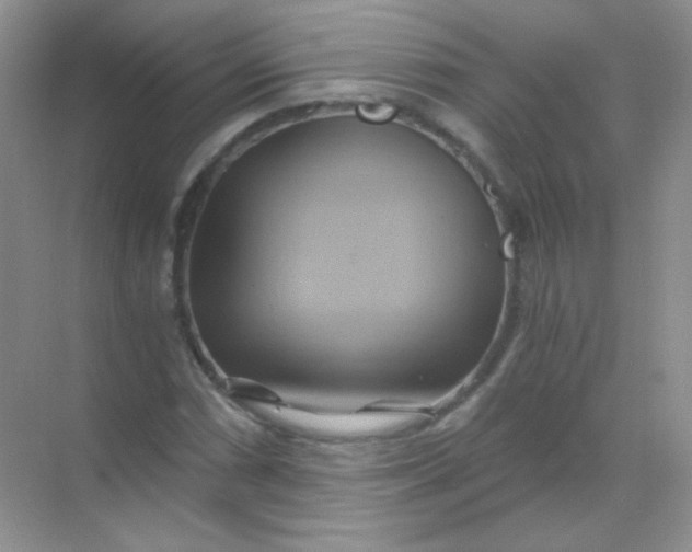 X0000068861066200605192011