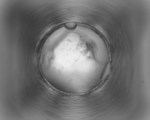 X0000068861067200605192011