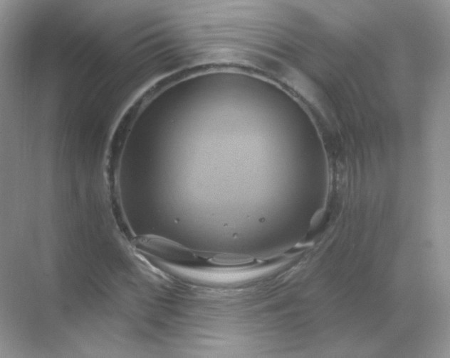 X0000068861068200605192011