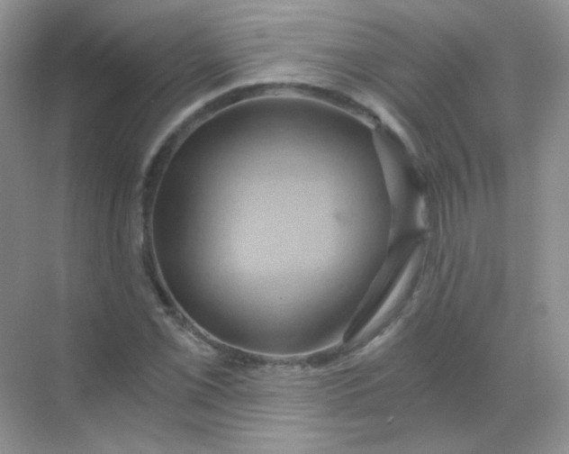 X0000068861069200605192011