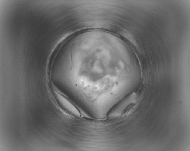 X0000068861071200605192011