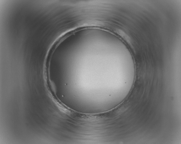 X0000068861072200605192011