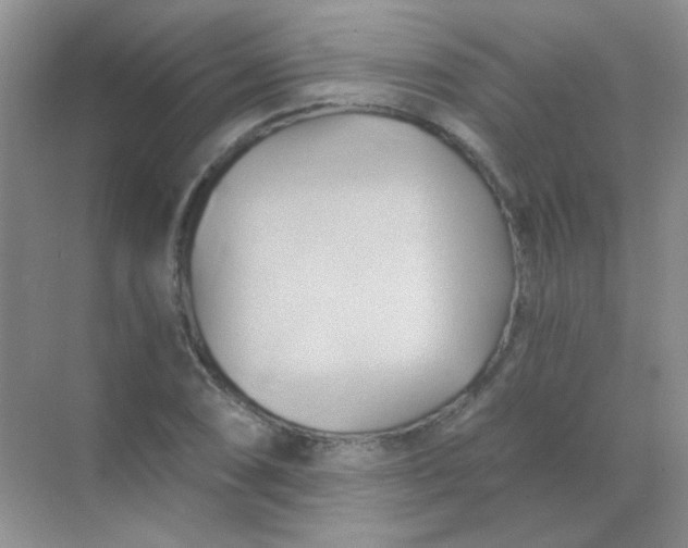 X0000068861074200605192011