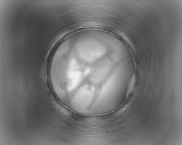 X0000068861075200605192011