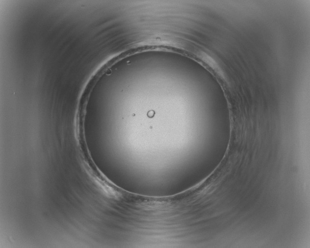 X0000068861076200605192011