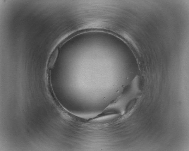 X0000068861077200605192011