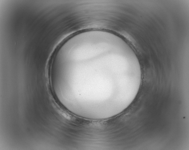 X0000068861078200605192011