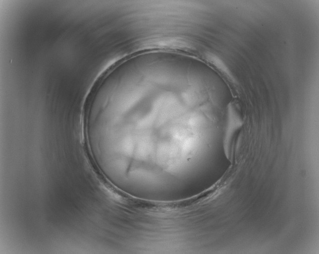 X0000068861079200605192011