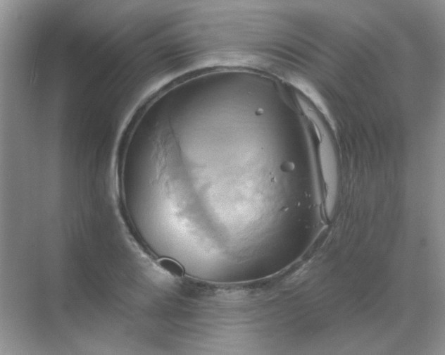 X0000068861080200605192011