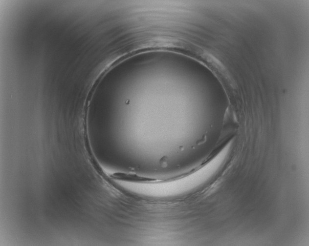 X0000068861081200605192011