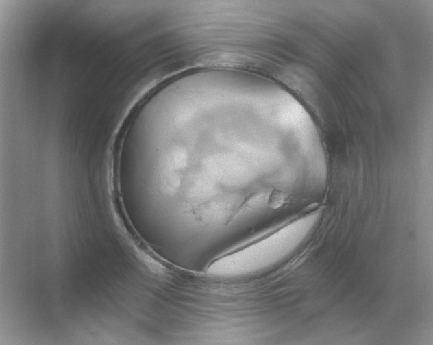 X0000068861083200605192011