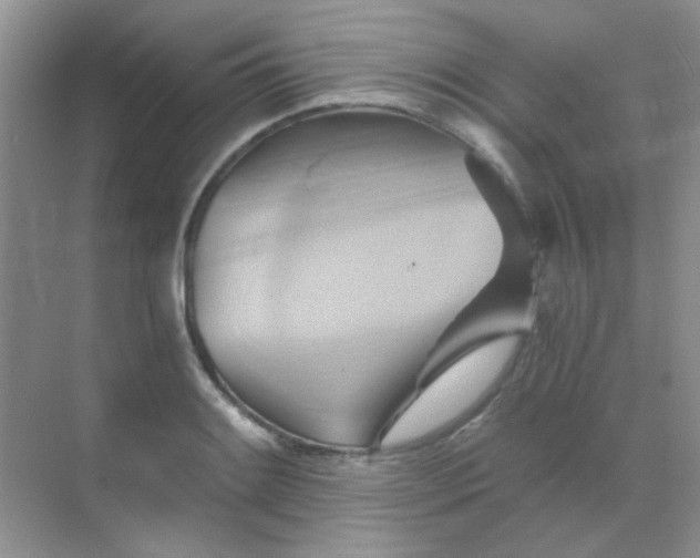 X0000068861084200605192011