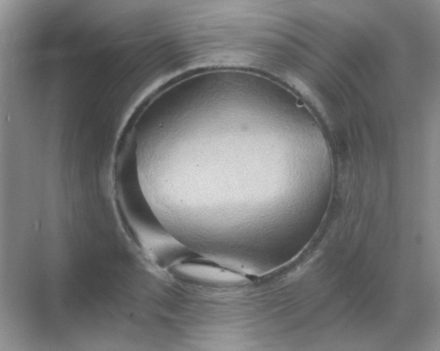 X0000068861085200605192011