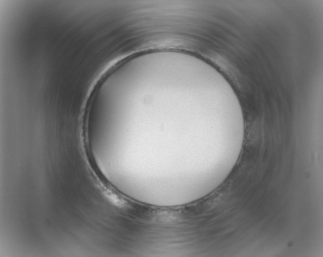 X0000068861086200605192011