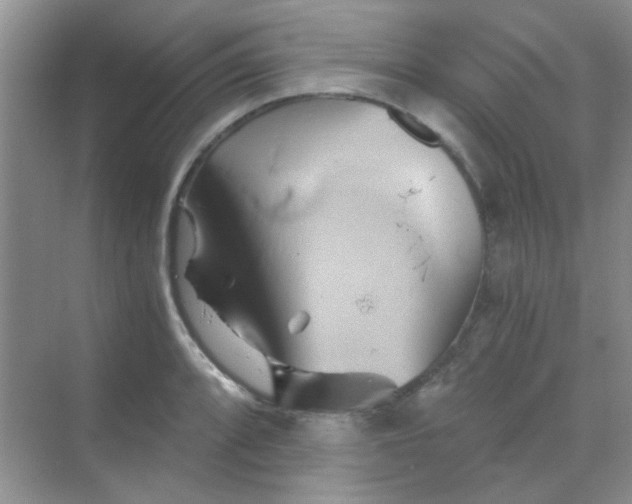 X0000068861088200605192011